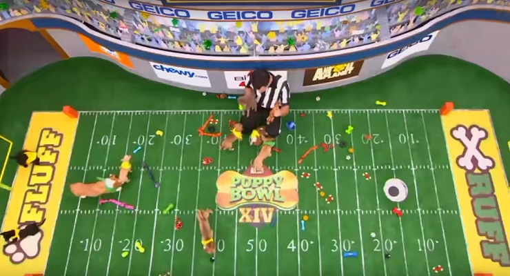 Puppy Bowl XIV’s Precious Lineup Revealed at Pasadena’s Langham Hotel