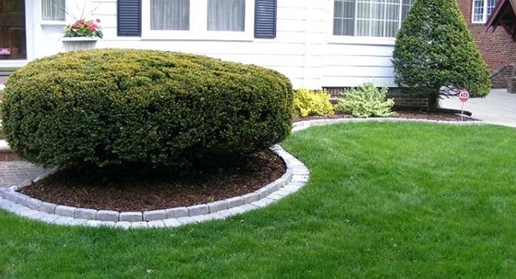 How to Build a Decorative Tree Border