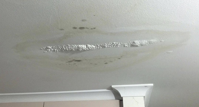 water-leaking-from-roof-vent-ceiling-damage 828