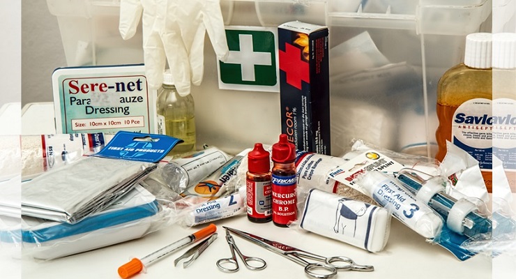 Do You Have a First Aid Kit for Your Dog?