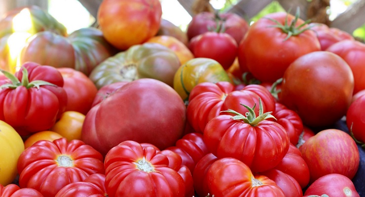 Tomatomania 2019 Returns to Descanso Gardens March 29-31